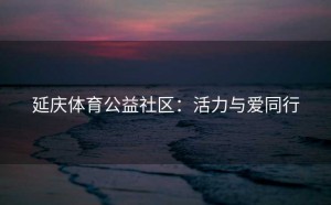 延庆体育公益社区：活力与爱同行