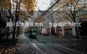 嘉兴实木体育地板：专业运动场地优选