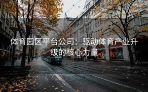 体育园区平台公司：驱动体育产业升级的核心力量