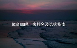 体育鹰眼厂家排名及选购指南