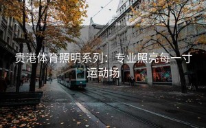 贵港体育照明系列：专业照亮每一寸运动场