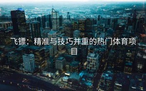 飞镖：精准与技巧并重的热门体育项目