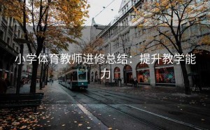 小学体育教师进修总结：提升教学能力