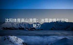 沈阳体育高山滑雪：冰雪激情与运动魅力