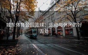 城东体育公园篮球：运动与休闲的好去处