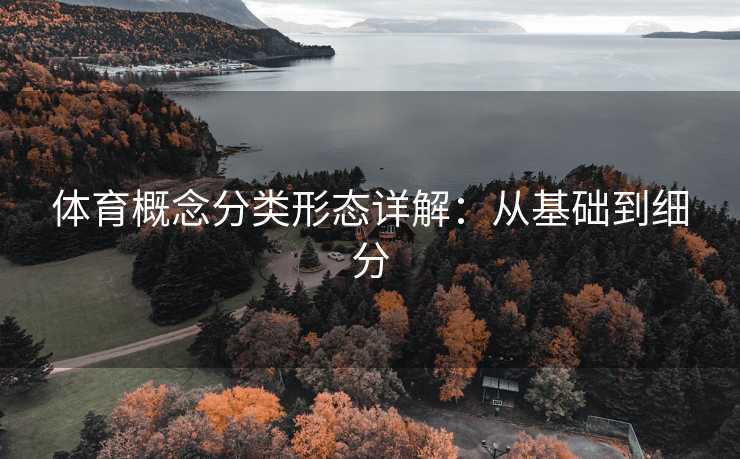 体育概念分类形态详解：从基础到细分