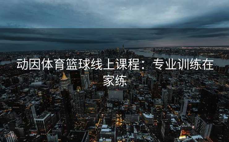 动因体育篮球线上课程：专业训练在家练