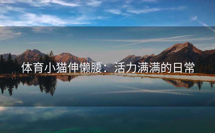 体育小猫伸懒腰：活力满满的日常