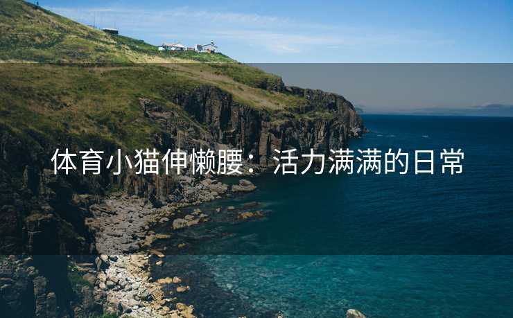 体育小猫伸懒腰：活力满满的日常