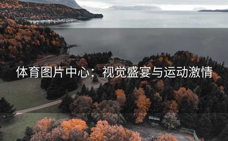 体育图片中心：视觉盛宴与运动激情