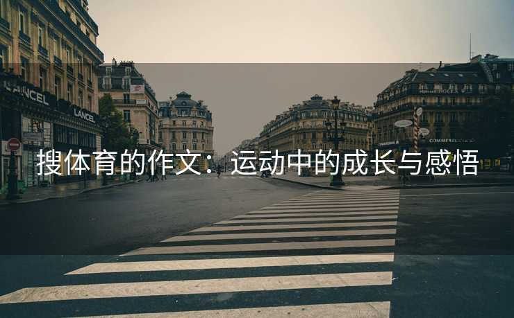 搜体育的作文：运动中的成长与感悟