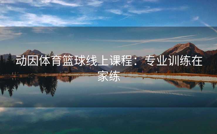 动因体育篮球线上课程：专业训练在家练