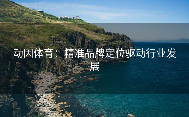 动因体育：精准品牌定位驱动行业发展