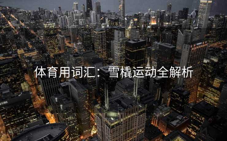 体育用词汇：雪橇运动全解析