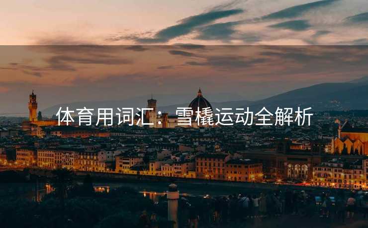 体育用词汇：雪橇运动全解析