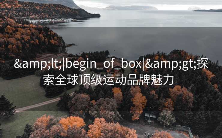 &lt;|begin_of_box|&gt;探索全球顶级运动品牌魅力  