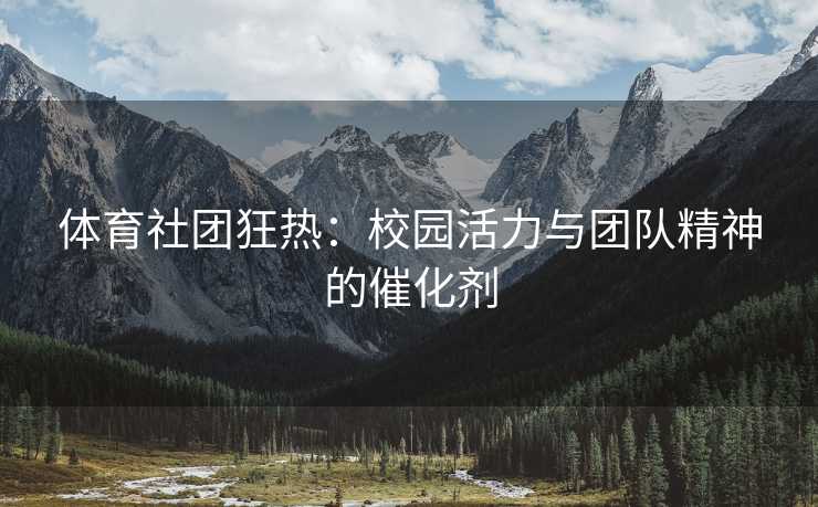 体育社团狂热：校园活力与团队精神的催化剂