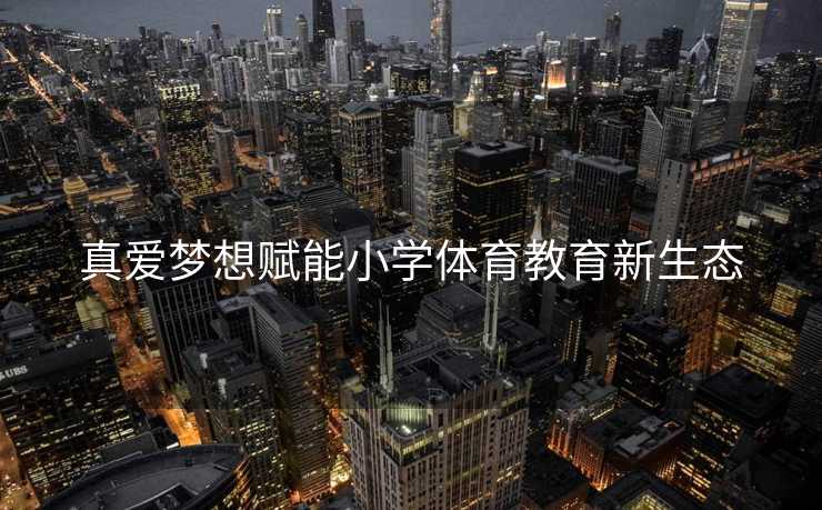 真爱梦想赋能小学体育教育新生态