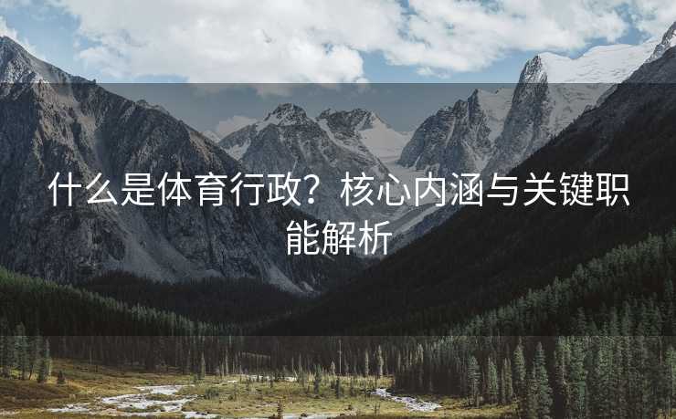 什么是体育行政？核心内涵与关键职能解析