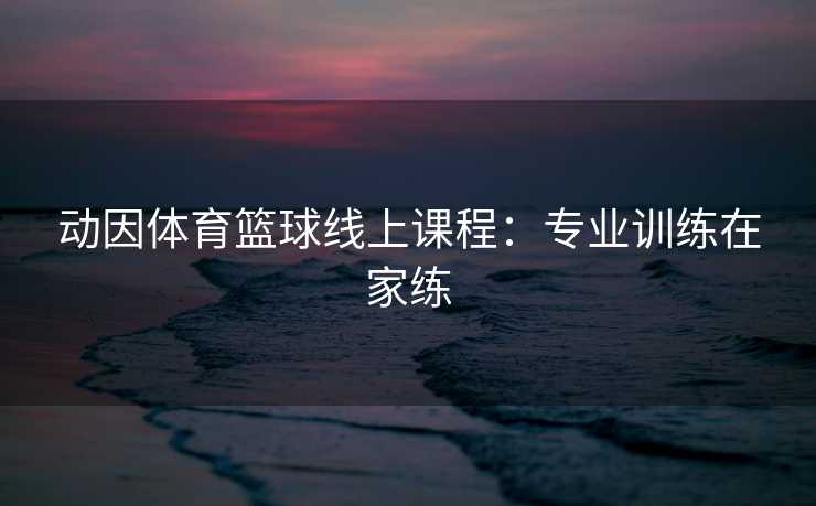 动因体育篮球线上课程：专业训练在家练