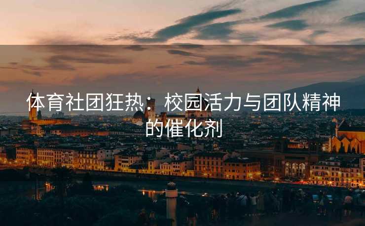 体育社团狂热：校园活力与团队精神的催化剂