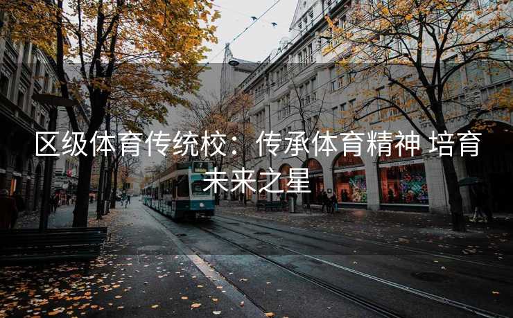 区级体育传统校：传承体育精神 培育未来之星