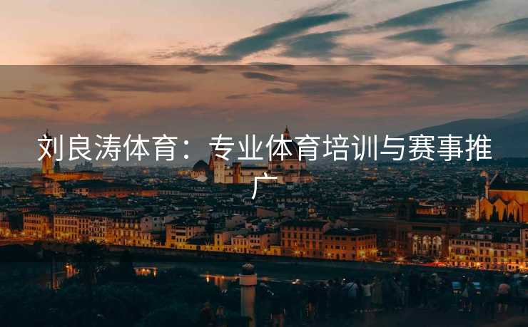 刘良涛体育：专业体育培训与赛事推广