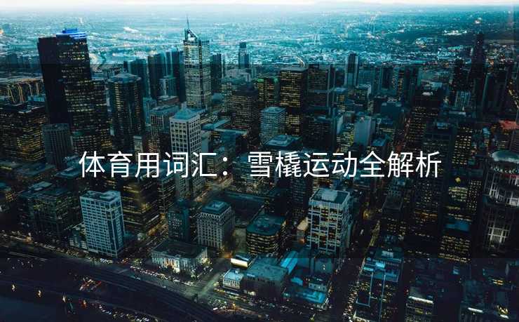 体育用词汇：雪橇运动全解析