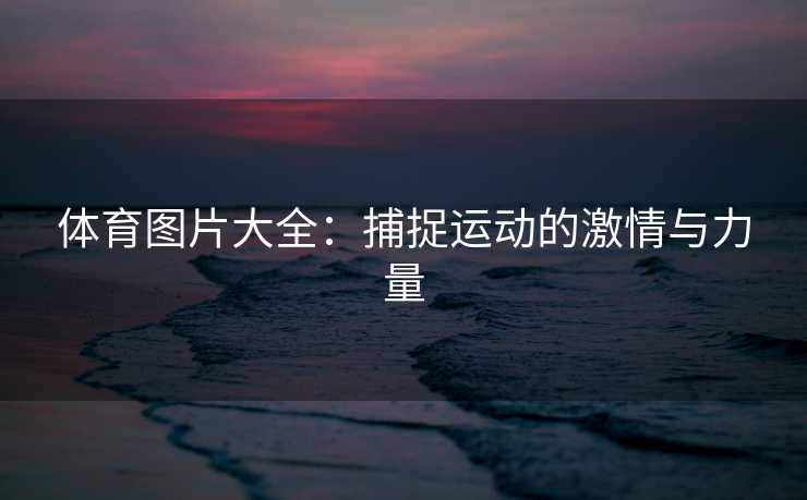 体育图片大全：捕捉运动的激情与力量