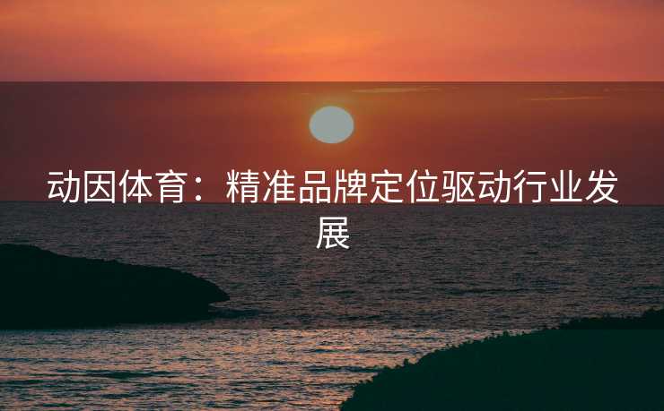 动因体育：精准品牌定位驱动行业发展