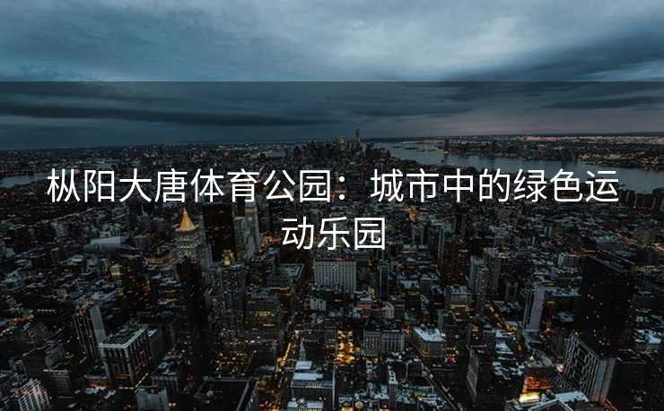枞阳大唐体育公园：城市中的绿色运动乐园