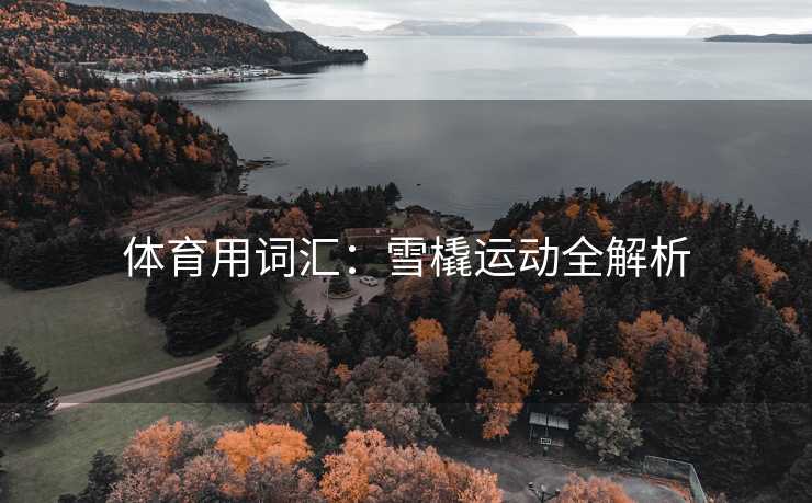 体育用词汇：雪橇运动全解析