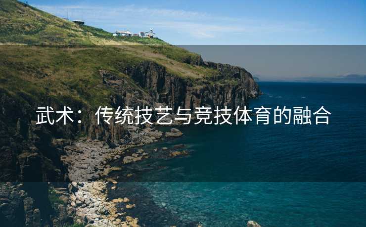 武术：传统技艺与竞技体育的融合