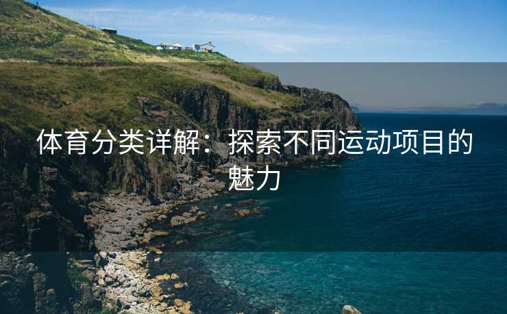 体育分类详解：探索不同运动项目的魅力
