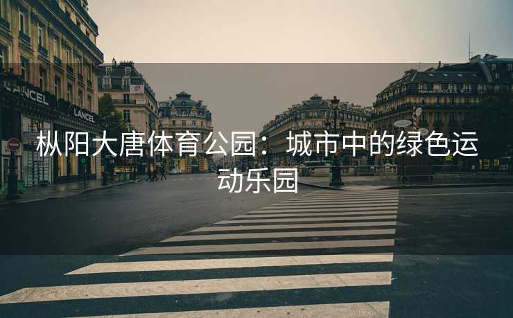 枞阳大唐体育公园：城市中的绿色运动乐园