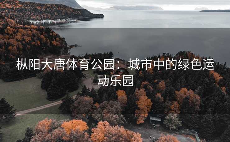枞阳大唐体育公园：城市中的绿色运动乐园