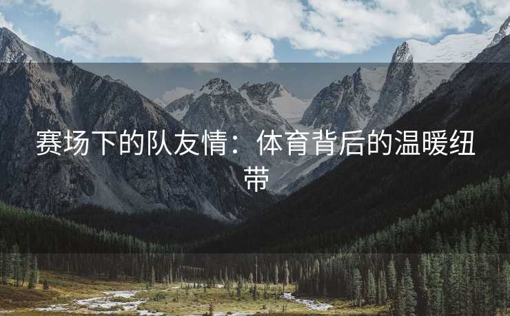赛场下的队友情：体育背后的温暖纽带