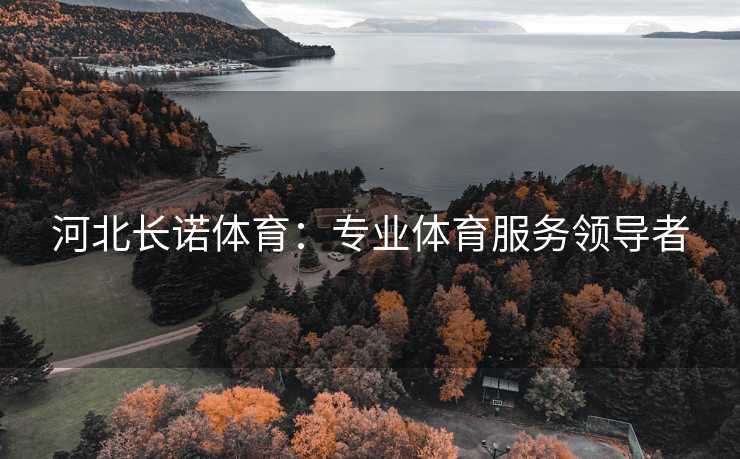 河北长诺体育：专业体育服务领导者