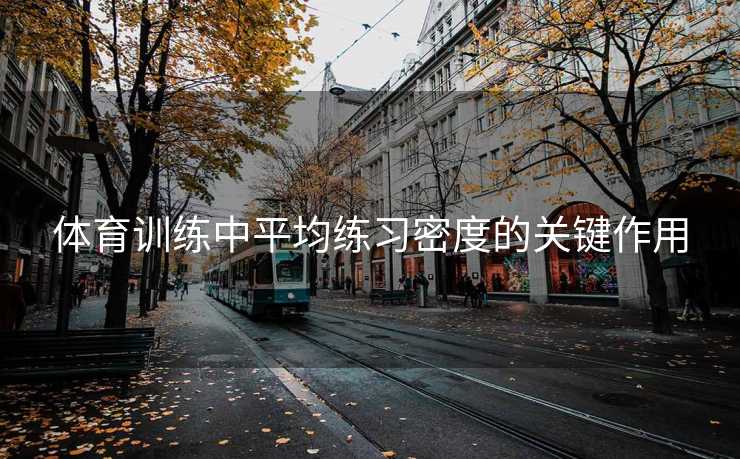 体育训练中平均练习密度的关键作用