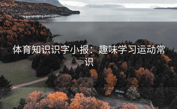 体育知识识字小报：趣味学习运动常识