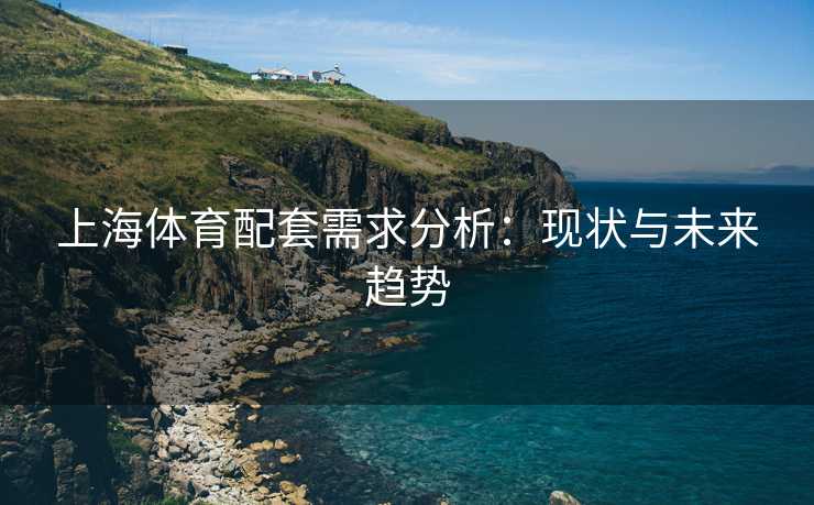 上海体育配套需求分析：现状与未来趋势
