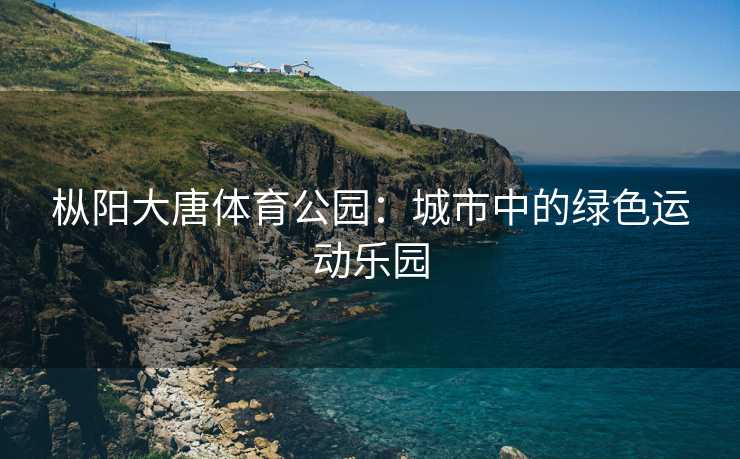 枞阳大唐体育公园：城市中的绿色运动乐园
