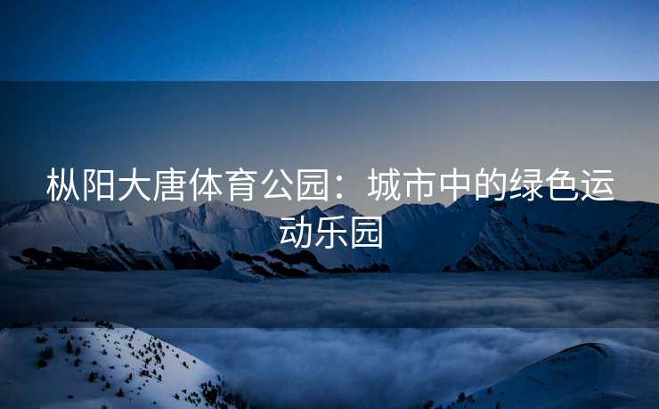枞阳大唐体育公园：城市中的绿色运动乐园