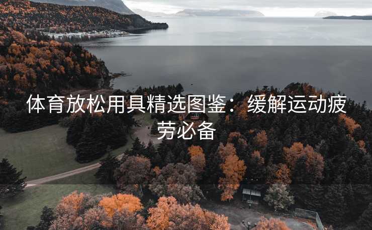 体育放松用具精选图鉴：缓解运动疲劳必备