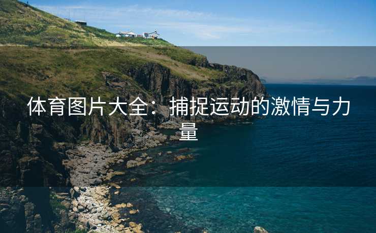 体育图片大全：捕捉运动的激情与力量