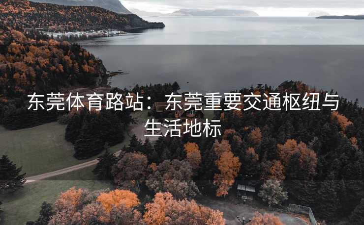 东莞体育路站：东莞重要交通枢纽与生活地标