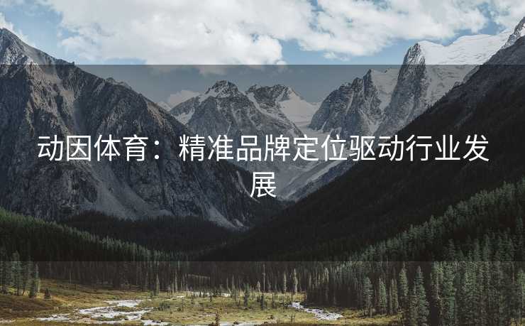 动因体育：精准品牌定位驱动行业发展