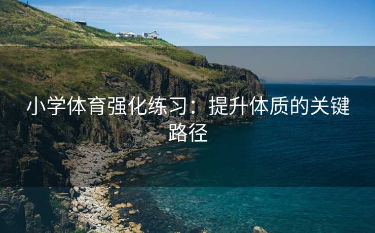 小学体育强化练习：提升体质的关键路径