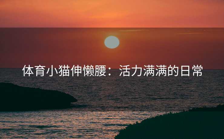 体育小猫伸懒腰：活力满满的日常