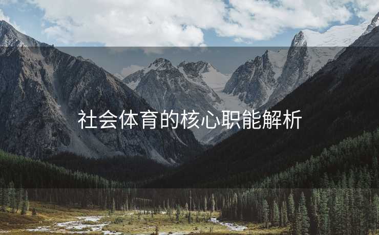社会体育的核心职能解析